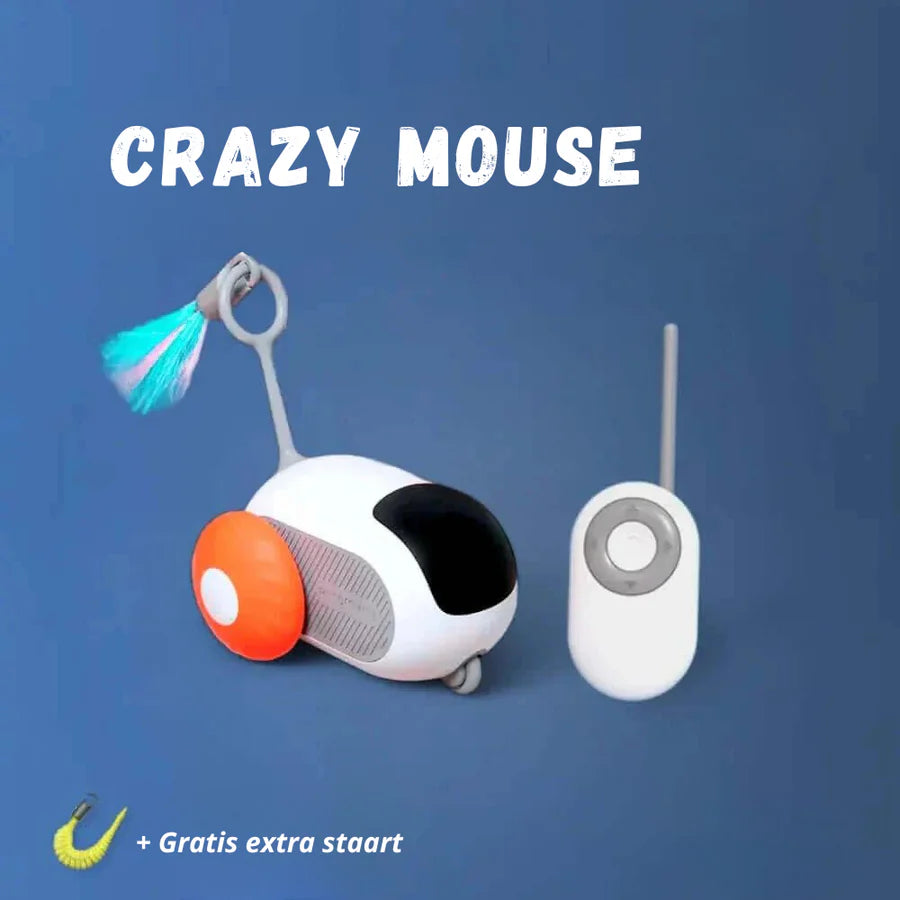 Crazy Mouse 🐭